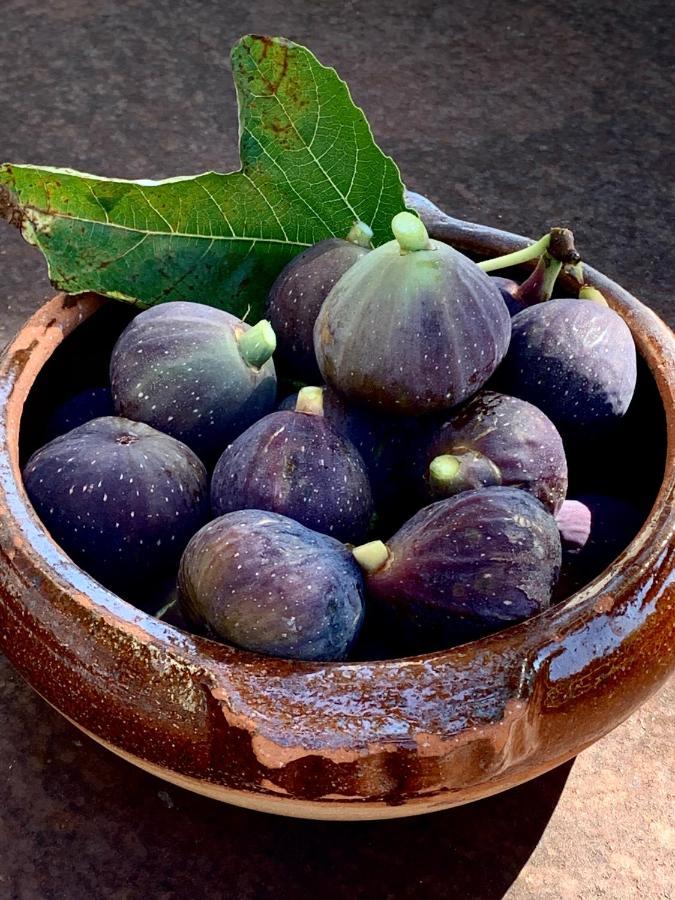 Les Jardins De Sitaara Acomodação com café da manhã Cucuron Exterior foto